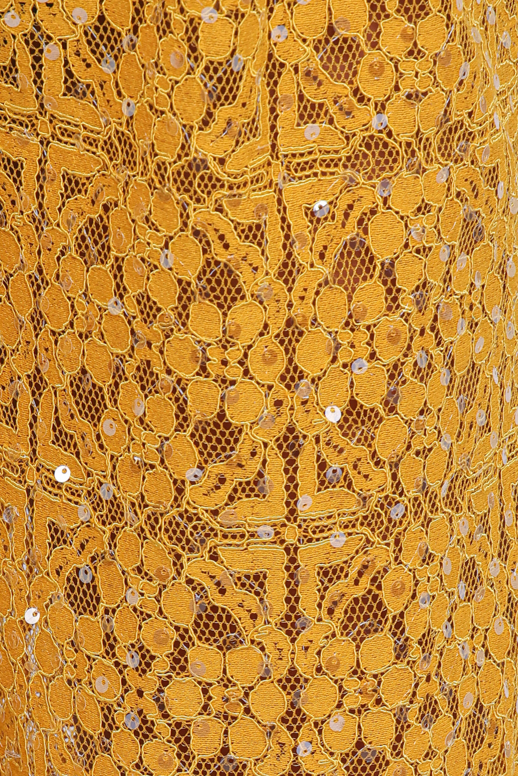 Wide Leg Sequin Lace Pants