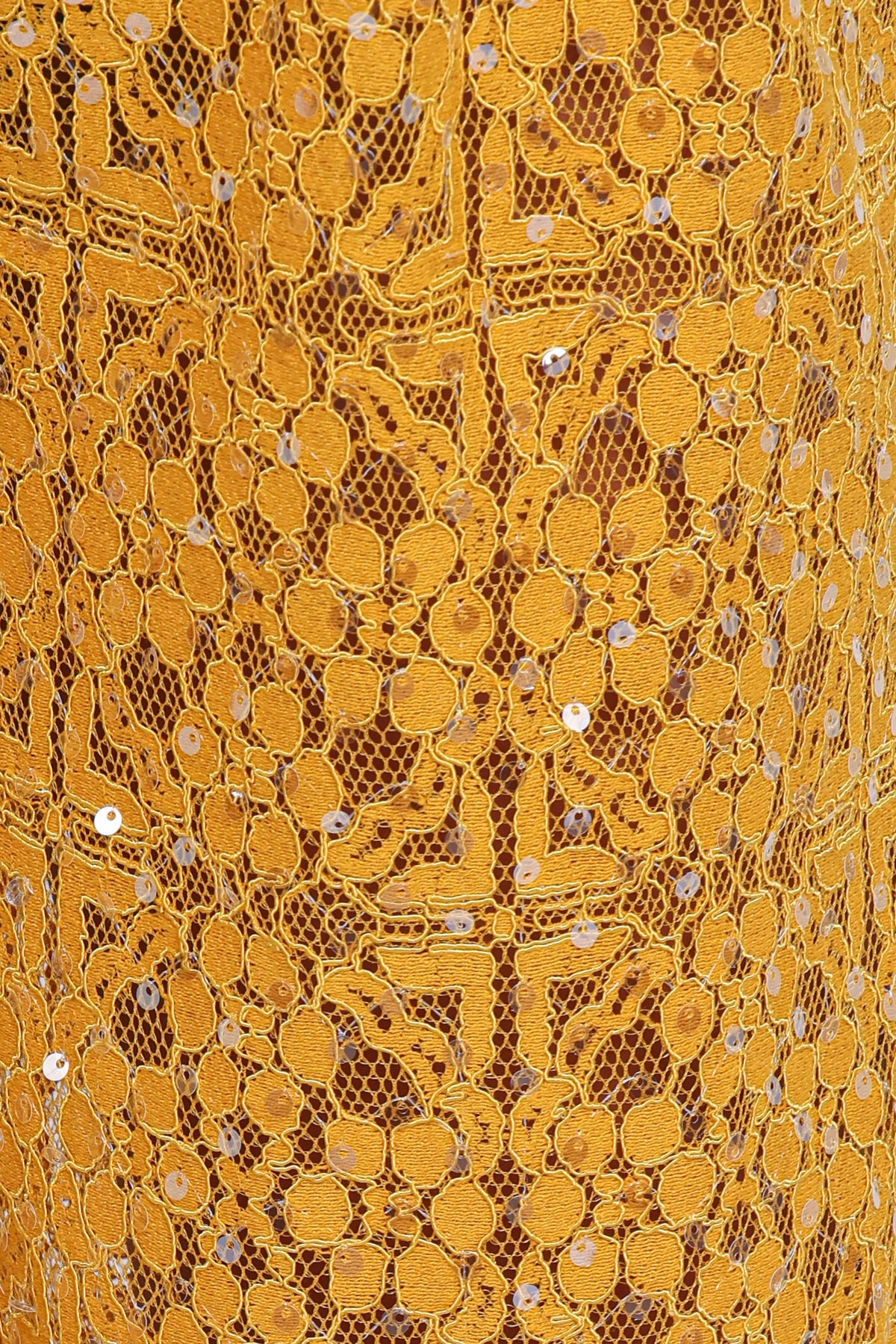 Wide Leg Sequin Lace Pants