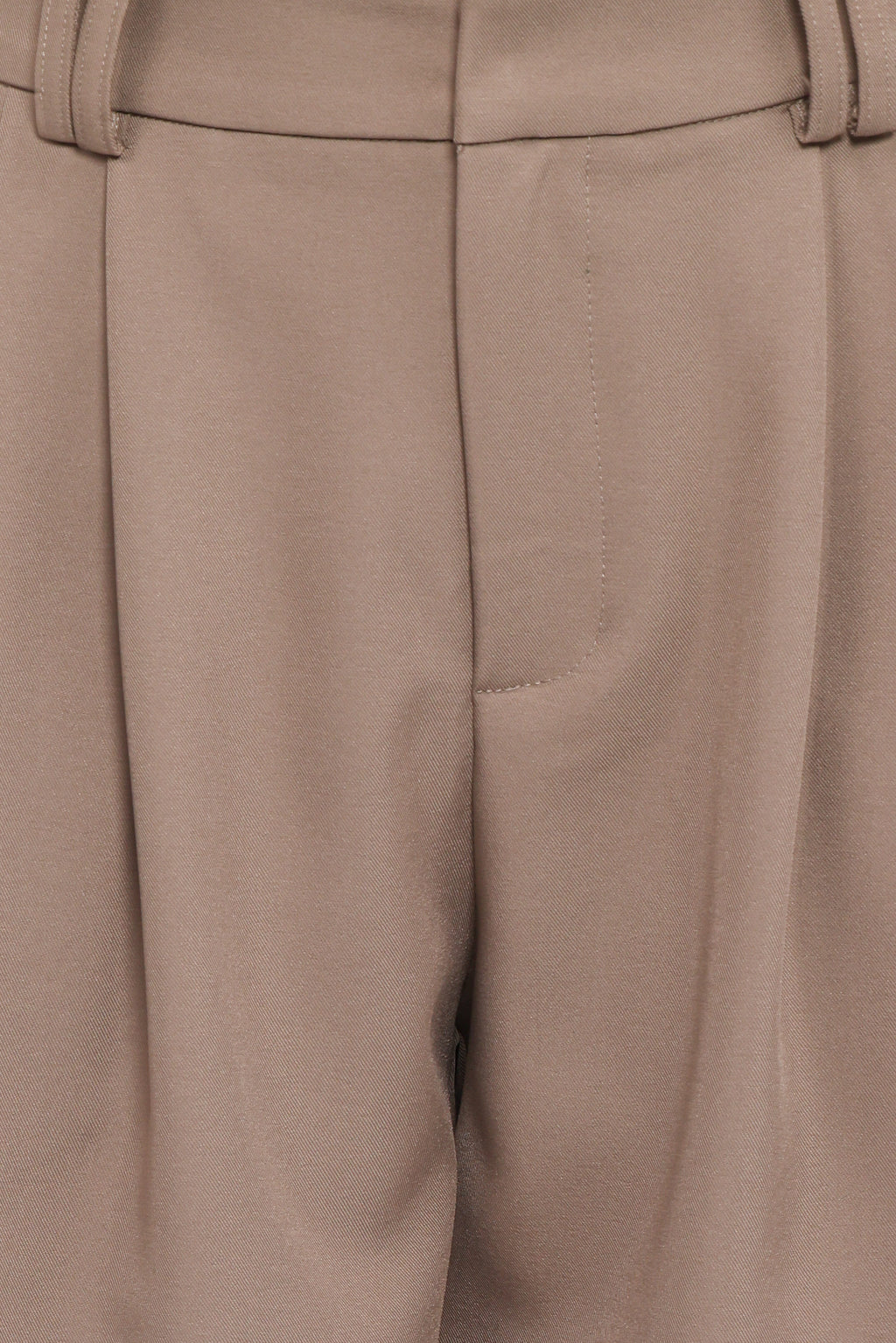 Wide Leg Pants - Beige Pleat